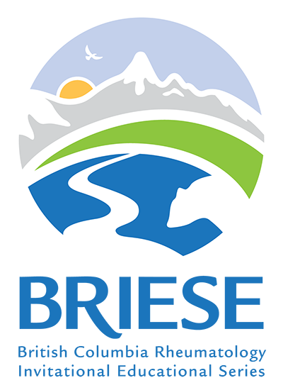 BRIESE Logo